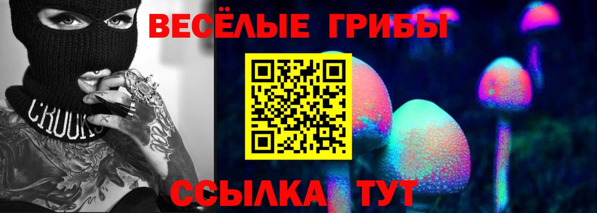 Галлюциногенные грибы Cubensis  Вход с VPN  Выкса  Псилоцибиновые грибы мицелий 